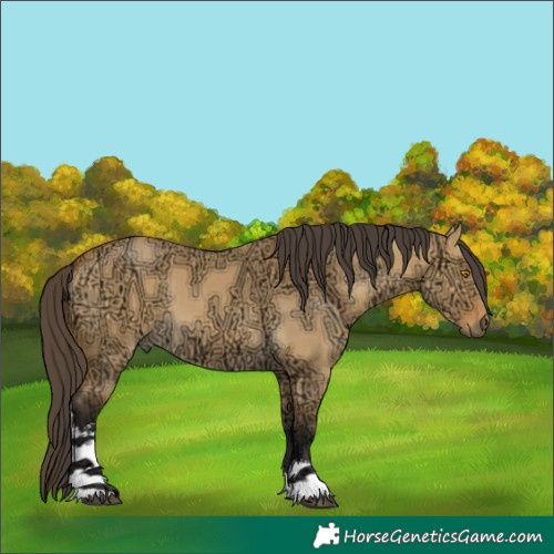 Horse Color:White Spotted Buckskin Ice Dun 