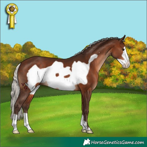 Horse Color:Silver Brown Frame 