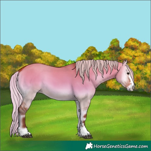 Horse Color:Silver Bay Onyx 
