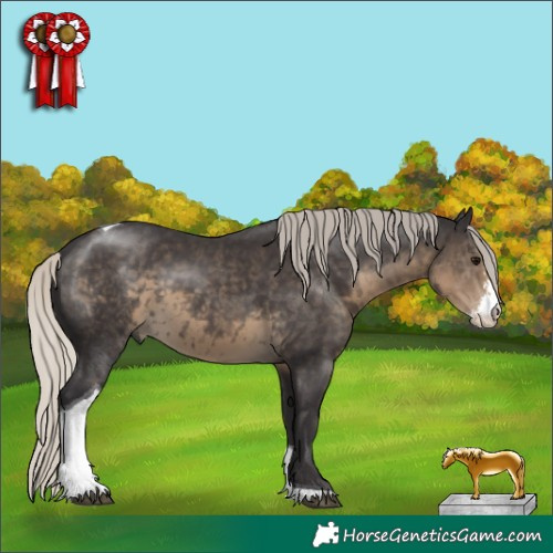 Horse Color:Silver Smoky Black Sabino Tobiano 
