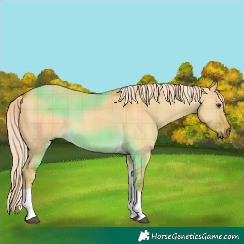 Horse Color:Plaid  Palomino Dun Tobiano 