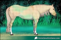 Horse Color:Plaid Palomino Dun Tobiano