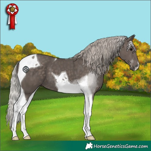 Horse Color:Silver Black Tobiano