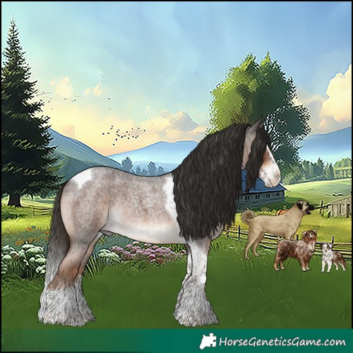 Horse Color:Liver Red Roan Splash Tobiano Rabicano 