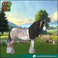 Horse Color:Liver Red Roan Splash Tobiano Rabicano 