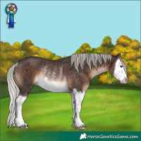 Horse Color:Silver Brown Splash Rabicano 