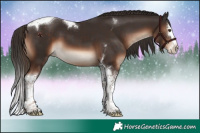 Horse Color:Liver Chestnut Splash Tobiano 