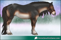 Horse Color:Liver Chestnut Tobiano 