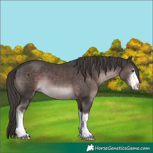 Horse Color:Platinum White Spotted Liver Chestnut 