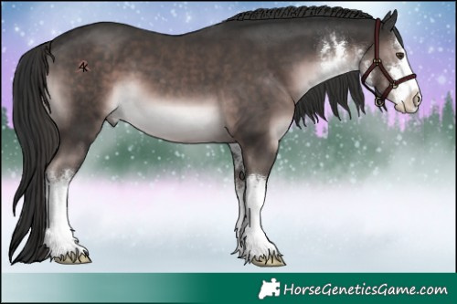 Horse Color:Platinum White Spotted Liver Chestnut 