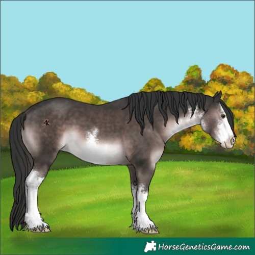 Horse Color:Platinum White Spotted Liver Chestnut 