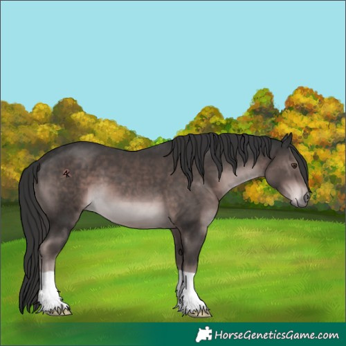 Horse Color:Platinum Liver Chestnut 