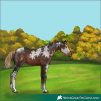 Horse Color:White Spotted Liver Chestnut Ice 