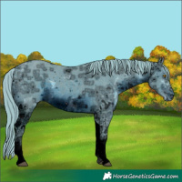 Horse Color:ERROR: UNKNOWN ANOMALY