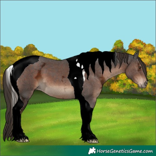 Horse Color:Liver Chestnut Ice Tobiano 
