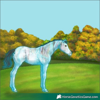 Horse Color:Thunderstruck White Spotted Liver Chestnut Ice Blanket 