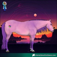 Horse Color:Watercolor Buckskin 