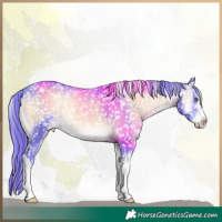 Horse Color:Watercolor White Spotted Brown Chinchilla Onyx Appaloosa 