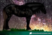 Horse Color:Void Brown Roan Dun Sabino Splash Blanket