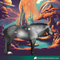 Horse Color:Gray Black