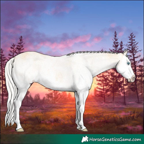 Horse Color:White Spotted Silver Buckskin Splash 