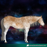 Horse Color:Gray White Spotted Buckskin