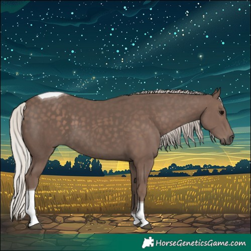 Horse Color:Silver Black Tobiano 