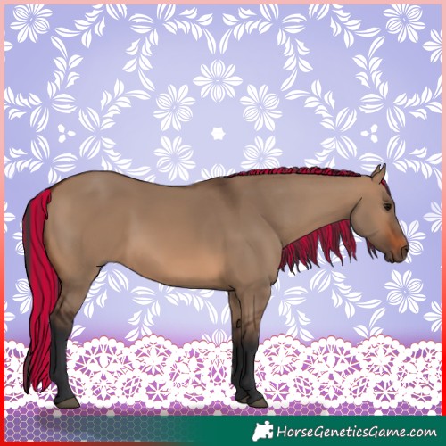 Horse Color:Painted Brown Dun 