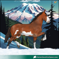 Horse Color:Bay Frame