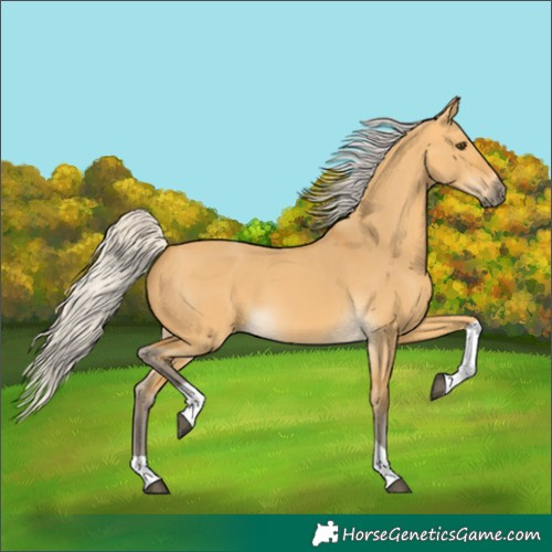 Horse Color:Silver Buckskin Dun Tobiano 