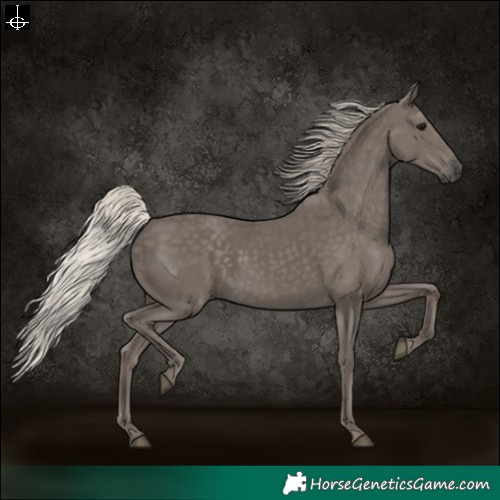 Horse Color:Silver Black 