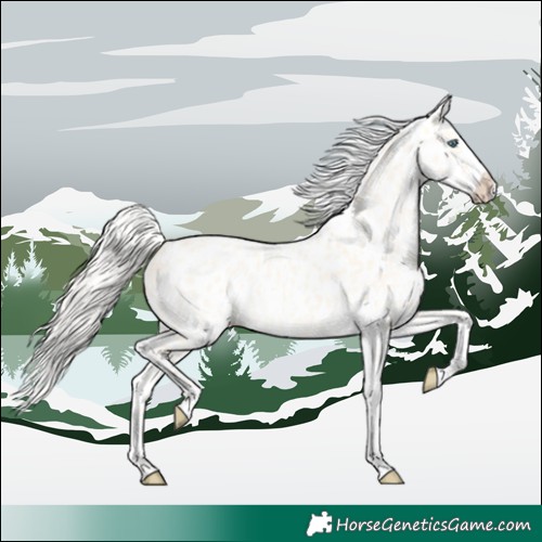 Horse Color:Cremello Dun Appaloosa  and Cremello Dun Appaloosa 