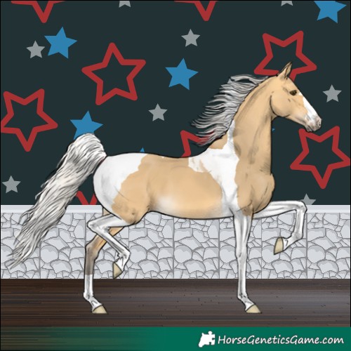 Horse Color:Silver Buckskin Dun Tobiano 