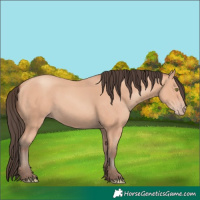 Horse Color:Amber Champagne 