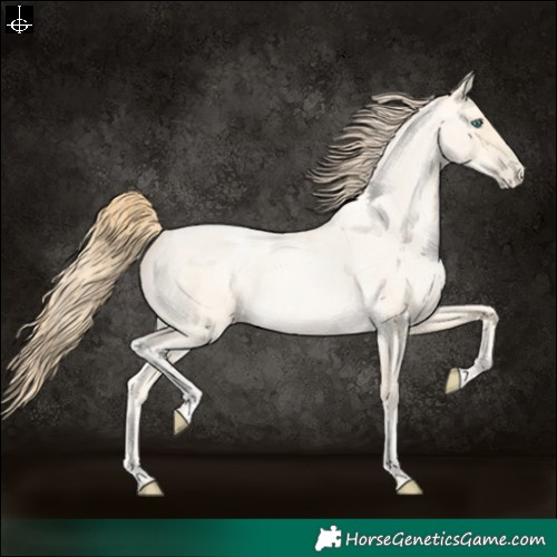 Horse Color:Buckskin Roan Pearl and Buckskin Roan Pearl