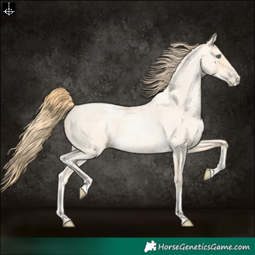 Horse Color:Buckskin Roan Pearl and Buckskin Roan Pearl