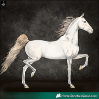 Horse Color:Buckskin Roan Pearl  and Buckskin Roan Pearl 