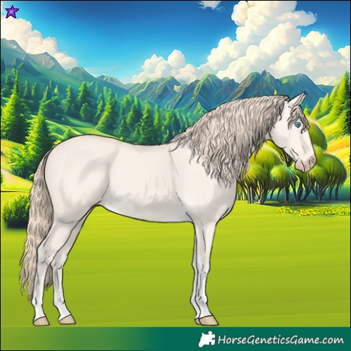 Horse Color:Perlino Dun Tobiano