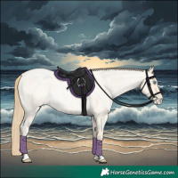 Horse Color:Buckskin Roan Pearl  and Buckskin Roan Pearl Rabicano 