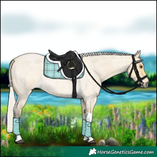 Horse Color:Silver Buckskin Roan Dun Tobiano 