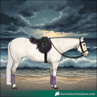 Horse Color:Silver Buckskin Roan Dun Tobiano
