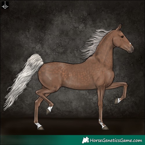 Horse Color:Silver Black 