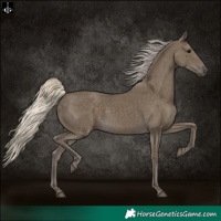 Horse Color:Silver Smoky Black 