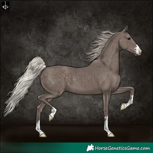 Horse Color:Silver Black