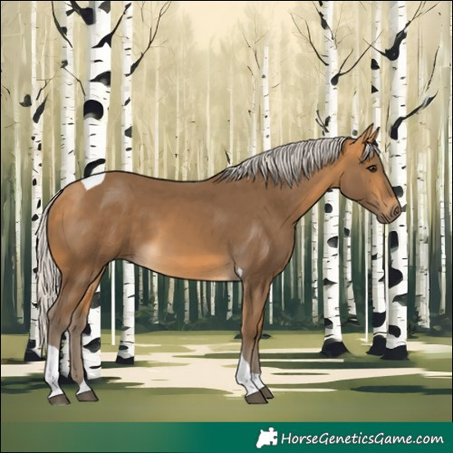Horse Color:Silver Buckskin Tobiano 