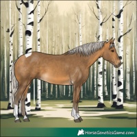 Horse Color:Silver Buckskin Tobiano