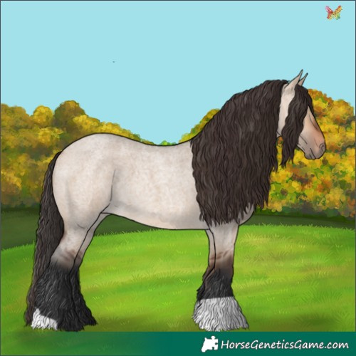 Horse Color:Bay Roan Dun 