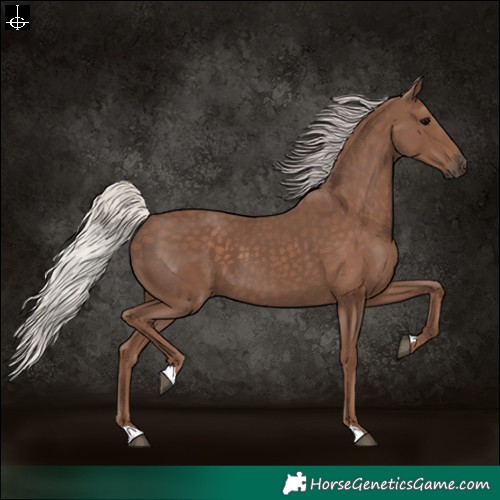 Horse Color:Silver Black 