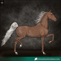 Horse Color:Silver Black 