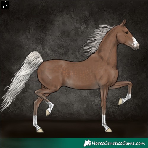 Horse Color:Silver Black